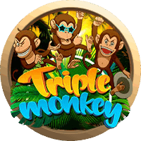 Triple Monkey — Slots — Taya365